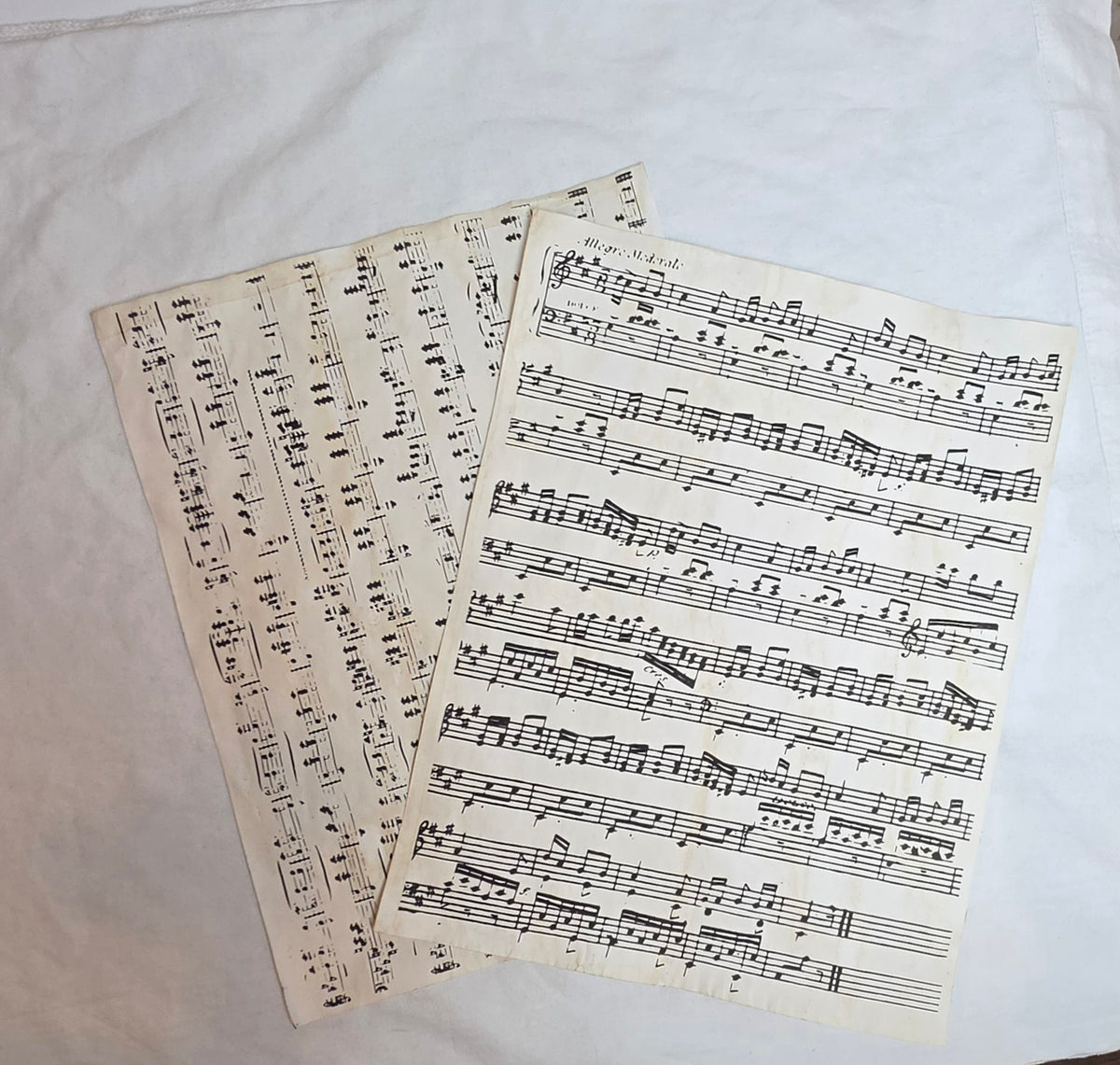 The Pemberley Collection